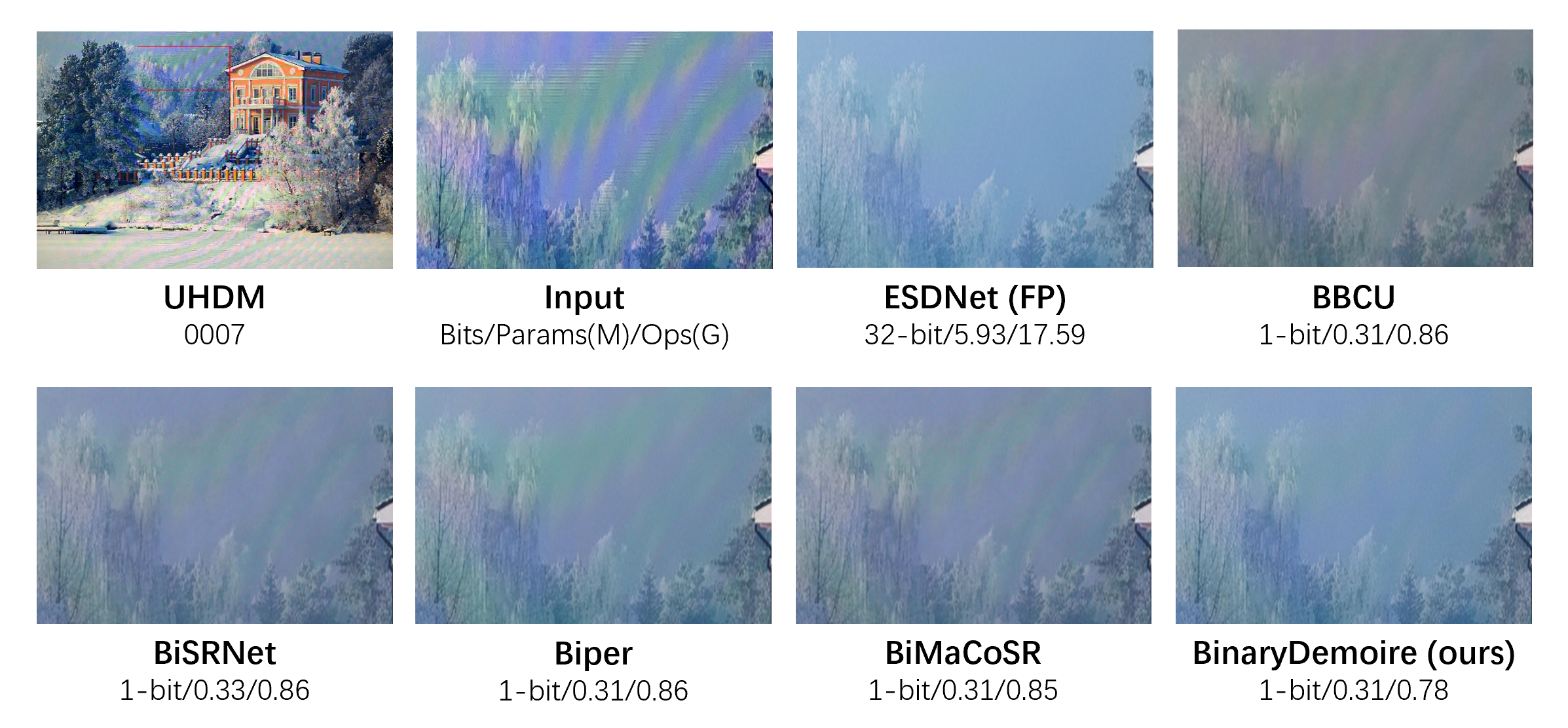 BinaryDemoire Example Illustration